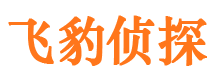 萨嘎寻人公司